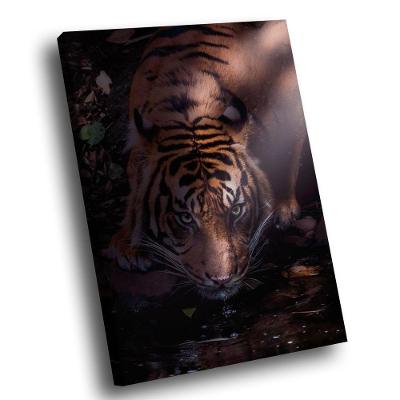 Quadro Tigre Dark Br Artes Pequeno 60x40