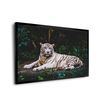 Quadro Tigre Branco Br Artes Médio 84x54