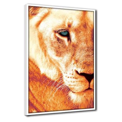 Quadro Decorativo Textura Cx Alta Leoa Cores 1 Pç 40x60  Titulo Leoa Laranja Moldura Branca