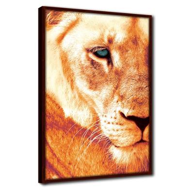 Quadro Decorativo Textura Cx Alta Leoa Cores 1 Pç 40x60  Titulo Leoa Laranja Moldura Madeira