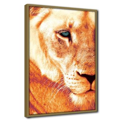 Quadro Decorativo Textura Cx Alta Leoa Cores 1 Pç 40x60  Titulo Leoa Laranja Moldura Caqui