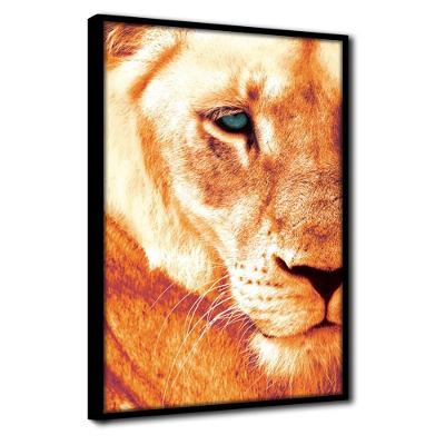 Quadro Decorativo Textura Cx Alta Leoa Cores 1 Pç 40x60  Titulo Leoa Laranja Moldura Preta
