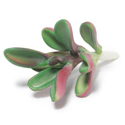 Suculenta Artificial Decorativa 10,5 X 6cm