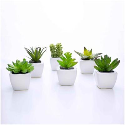 Kit 06 Suculentas Artificial Sortida Vaso Branco 6x6 Cm