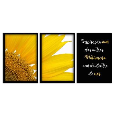 Kit 03 Quadross "Motivação" 43X33X1Cm