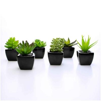 Kit 06 Suculentas Artificial Sortida Vaso Preto Unidades 6x6 Cm