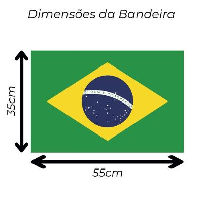 Bandeira Do Brasil Oficial Em Cetim Pequeno 55Cm X 35Cm