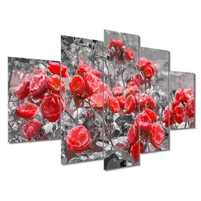 Kit 5 Placa Quadro Flores Vermelha Titulos Rosas Vermelhas