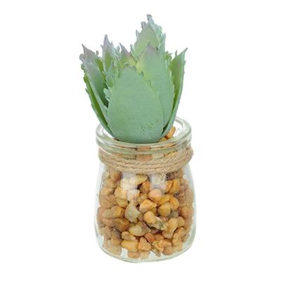 Vaso Com Suculenta Folha Alta Verde Claro 10X7 Cm - Du0027Rossi
