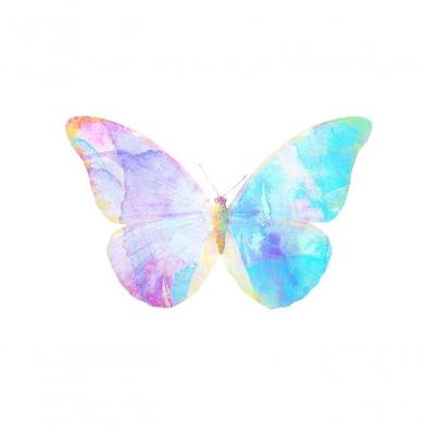 Borboleta Arco Íris ( Kit Com 10 Un) Tamanho 2,5 Cm