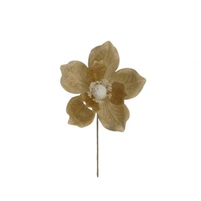 Magnólia Dourada 26cm - Fl2252