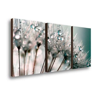 Kit 3 Quadros Decorativos Dente De Leão 40x60cm