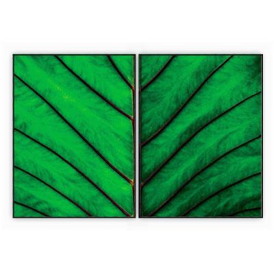 Kit Com 2 Quadros Decorativos Florais Com Moldura Para Sala Quarto Escritório 62x82 Floral 017