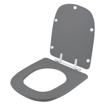 Assento Sanitario Poliester Ambar (Cinza Escuro) Para Vaso