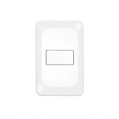 Interruptor Pial Pop Simples 10A 4X2 Lgx010 C/Placa