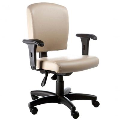 Cadeira Executiva Luxuosa Com Braços Fixos Linha Alpha Bege