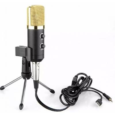 Microfone Condensador USB Estúdio BM100FX Lorben