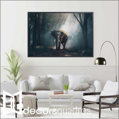 Quadro Elefante 60x40 Cm Tecido Canvas