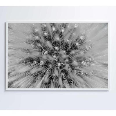 Quadro Dente De Leão Zoom 90x60 Cm Tecido Canvas
