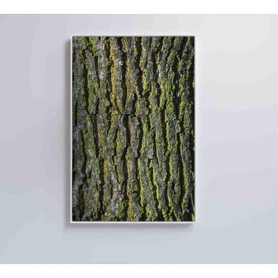 Quadro Tronco árvore 80x120 Cm Vidro Impresso