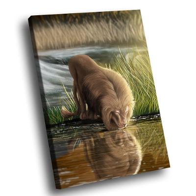 Quadro Leão Natureza -- Br Artes