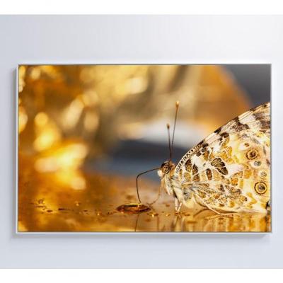 Quadro Borboleta Dourada 60x40 Cm Tecido Canvas
