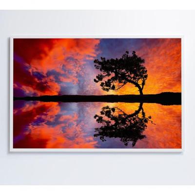 Quadro árvore Por Do Sol 60x40 Cm Tecido Canvas