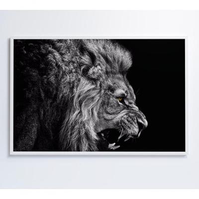 Quadro Leão Preto E Branco 60x40 Cm Tecido Canvas