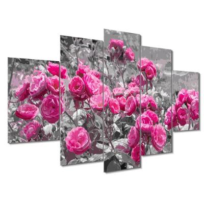 Kit 5 Placa Quadro Quarto Sala Flores Vermelha Rosas Rosadas