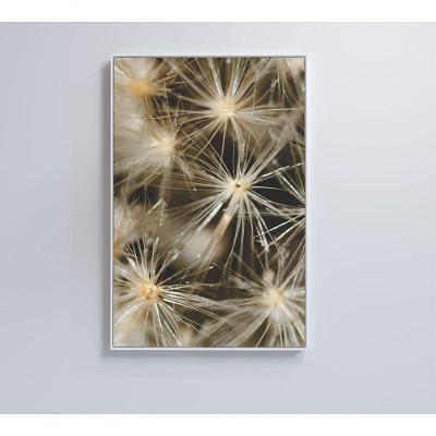 Quadro Dente De Leão 60x90 Cm Adesivo Fotográfico