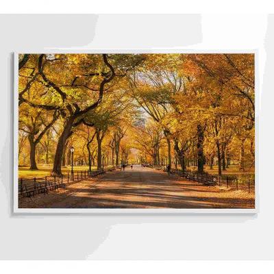 Quadro Central Park Outono 60x40 Cm Tecido Canvas