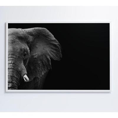 Quadro Elefante Preto E Branco 90x60 Cm Tecido Canvas