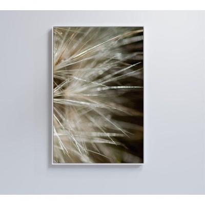 Quadro Dente De Leão Detalhe 80x120 Cm Adesivo Fotográfico