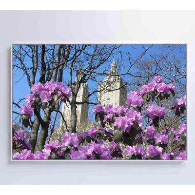 Quadro Flores Central Park 60x40 Cm Tecido Canvas