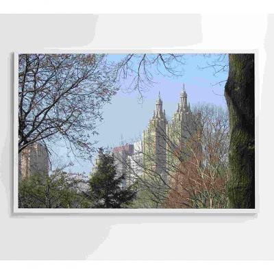 Quadro árvores Central Park 60x40 Cm Tecido Canvas