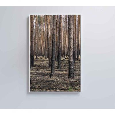 Quadro Eucaliptos 80x120 Cm Adesivo Fotográfico