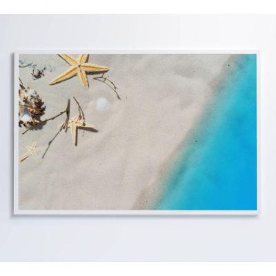 Quadro Estrela Do Mar 60x40 Cm Tecido Canvas