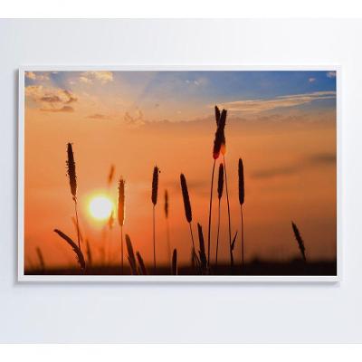 Quadro Por Do Sol 60x40 Cm Adesivo Fotográfico