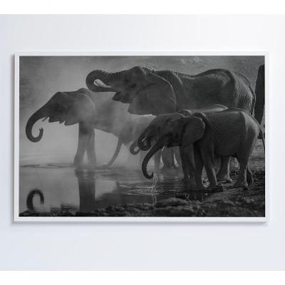 Quadro Elefantes 90x60 Cm Tecido Canvas