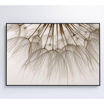 Quadro Dente De Leão 3 60x40 Cm Vidro Impresso