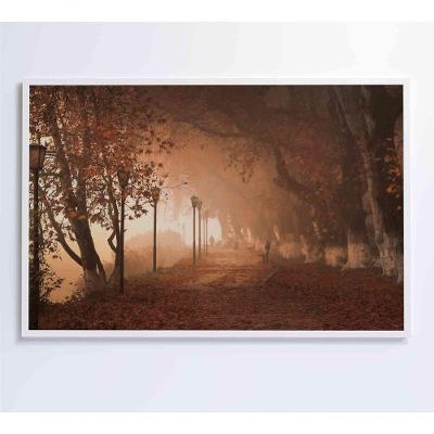 Quadro Bosque 90x60 Cm Tecido Canvas