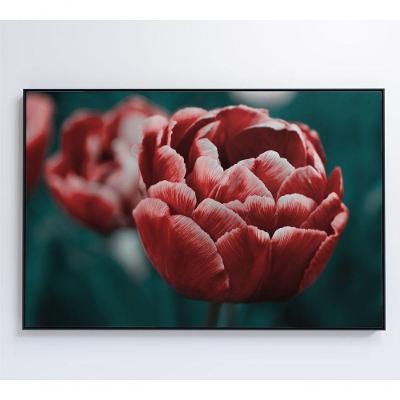 Quadro Tulipa Vermelha 60x40 Cm Vidro Impresso