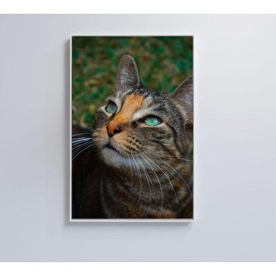 Quadro Gato 80x120 Cm Tecido Canvas