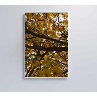 Quadro Flores Ipê Amarelo 2 40x60 Cm Vidro Impresso