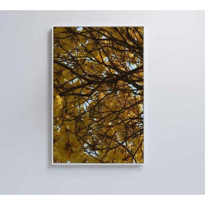 Quadro Flores Ipê Amarelo 60x90 Cm Tecido Canvas