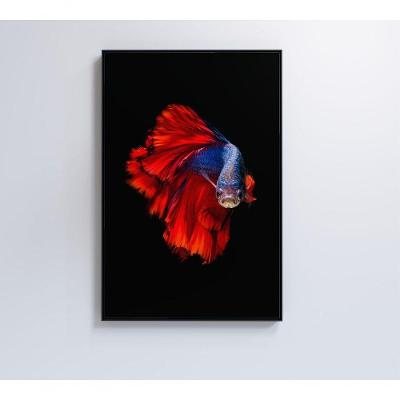 Quadro Peixe Beta Azul E Vermelho 60x90 Cm Tecido Canvas