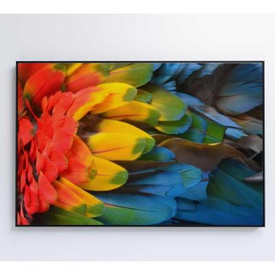 Quadro Penas Coloridas Arara Amazônia 120x80 Cm Tecido Canvas