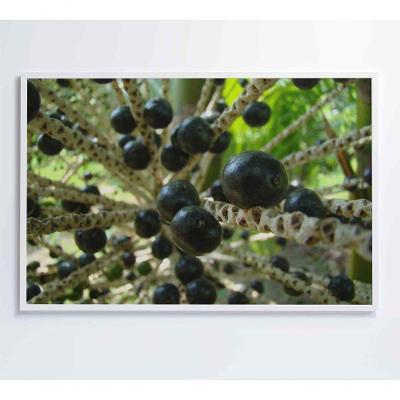 Quadro Açaí 120x80 Cm Tecido Canvas