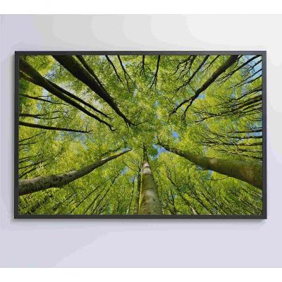 Quadro árvores 90x60 Cm Tecido Canvas