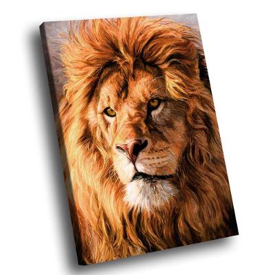 Quadro Leão Majestoso -- Br Artes